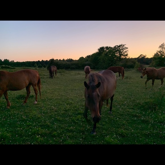 😃Hello there & Welcome...... - Picture 3 of 15